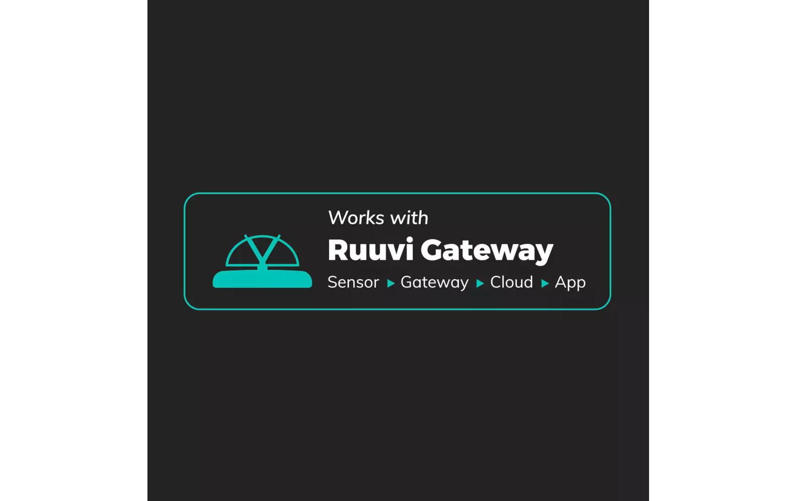 RuuviTag Pro – Temperatur- & Feuchtigkeitssensor, Bluetooth, IP68 – Schwarz