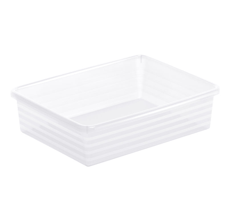 Rotho Aufbewahrungsbox – transparent, Polypropylen (PP), B 195 × H 60 × T 255 mm