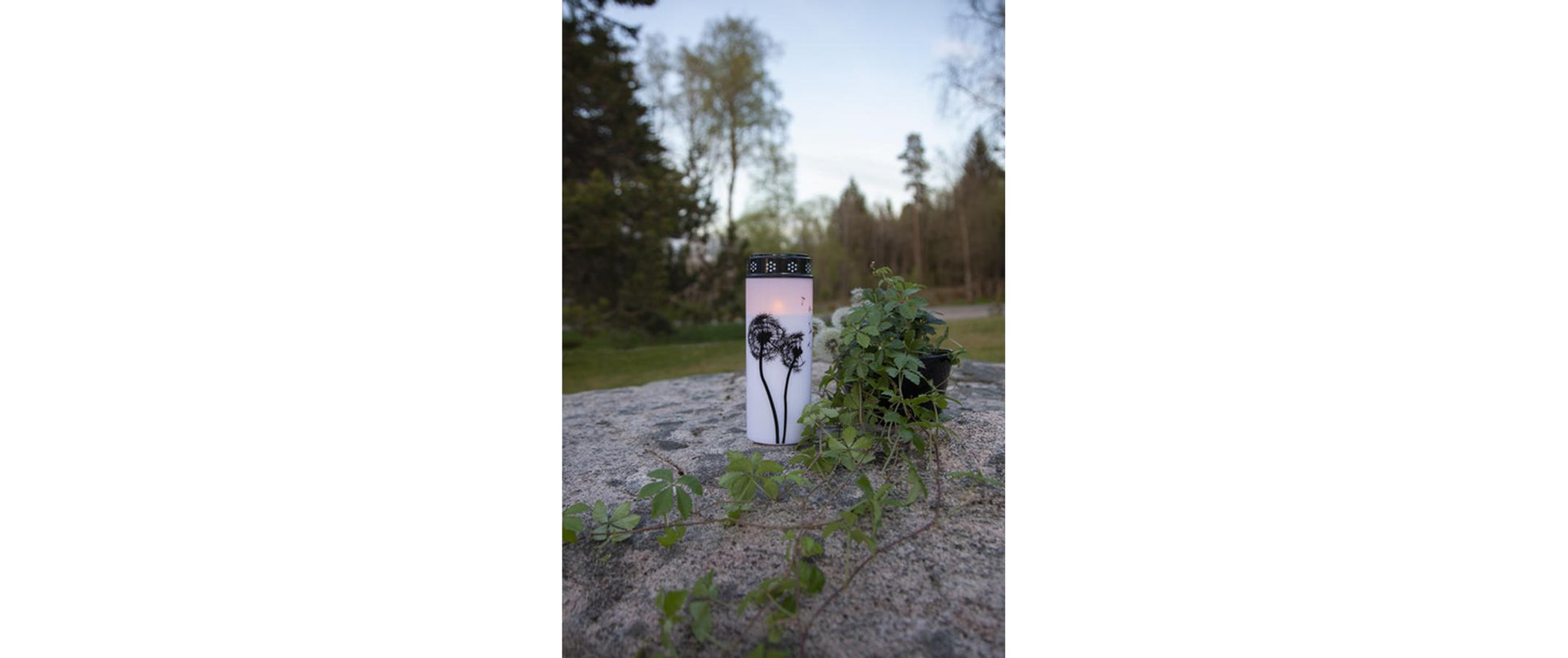 Star Trading Dekorative Aussenleuchte – Ø 7 cm – Warmweiss – Timer 6/18 h – Batteriebetrieben – Weiss – Kunststoff