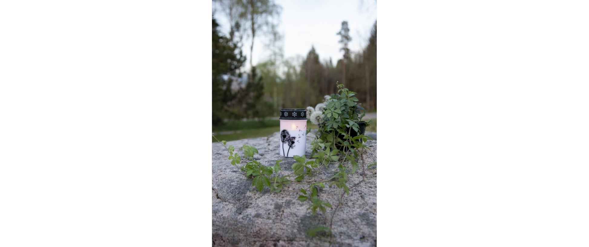 Star Trading Grablicht – LED, für Ø 7 × 12 cm – Kunststoff, weiss