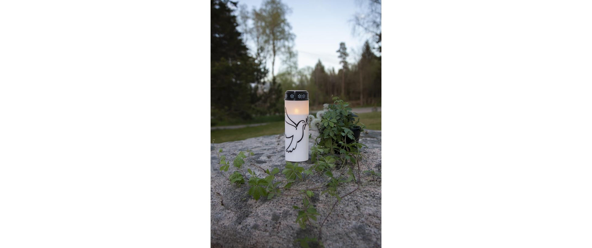 Star Trading Dekorative Aussenleuchte – Ø 7,5 cm, 0,02 W, Warmweiss – Batteriebetrieben, Timer 6/18 h, Weiss, Kunststoff