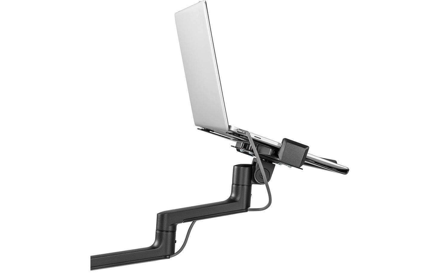 Neomounts Laptop-Arm (Klemme/Durchführung) – für Notebooks bis 17,3" – VESA 100×100, 5 kg – Schwarz