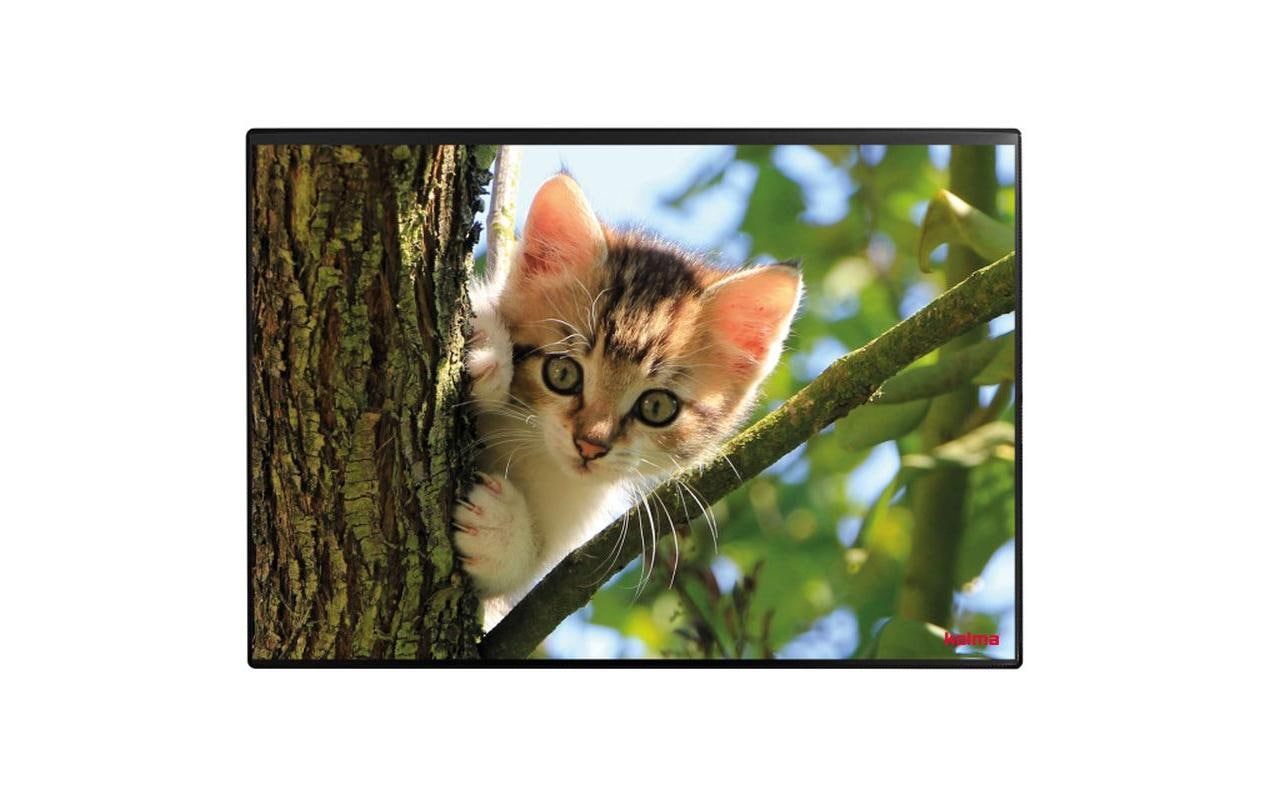 Kolma Schreibunterlage Undercover – Katze – 500 × 340 mm – Kunststoff, rutschfest