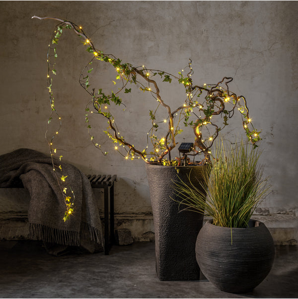 Star Trading Lichterkette Dew Drop Micr – 7,4 m – Warmweiss, 2700 K – IP44 – Solarbetrieb – 100 LEDs