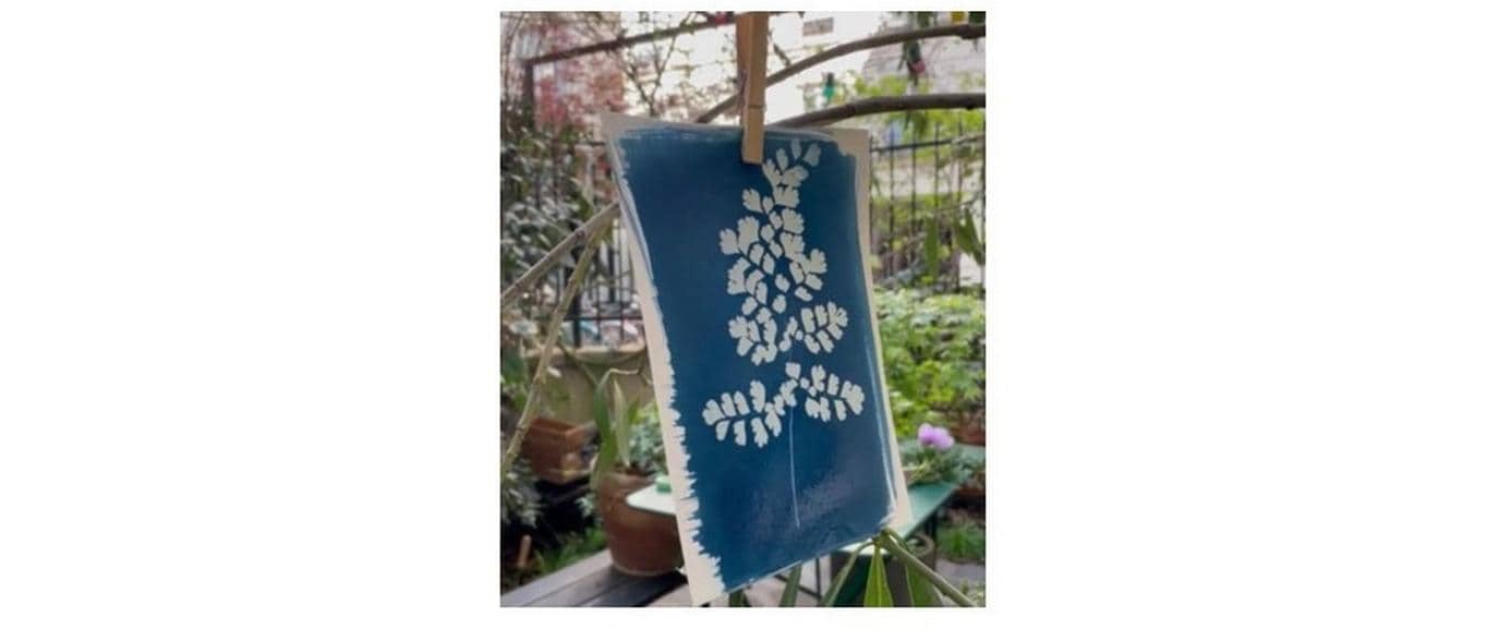 Clairefontaine Bastelset Cyanotypie – ab 18 Jahren – 10 Blatt