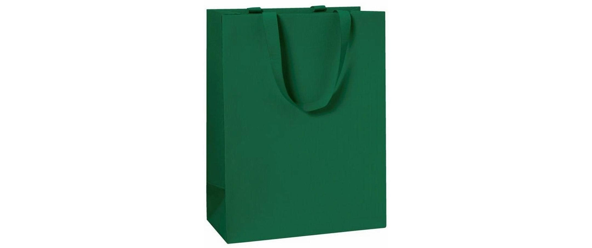 Stewo Geschenktasche Grün – 230 × 300 × 130 mm – FSC MIX 70% – 1 Stk.