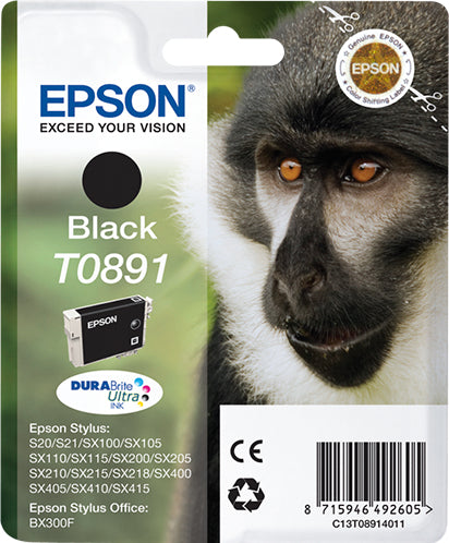 Epson Tintenpatrone T0891, Schwarz – für Inkjetdrucker/Multifunktionsgeräte