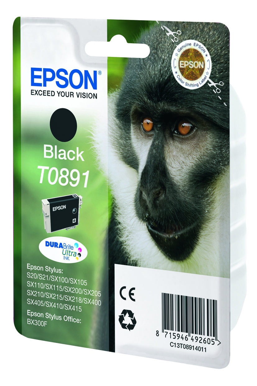 Epson Tintenpatrone T0891, Schwarz – für Inkjetdrucker/Multifunktionsgeräte