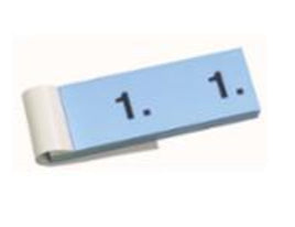 Simplex Ticket, 100 Stück