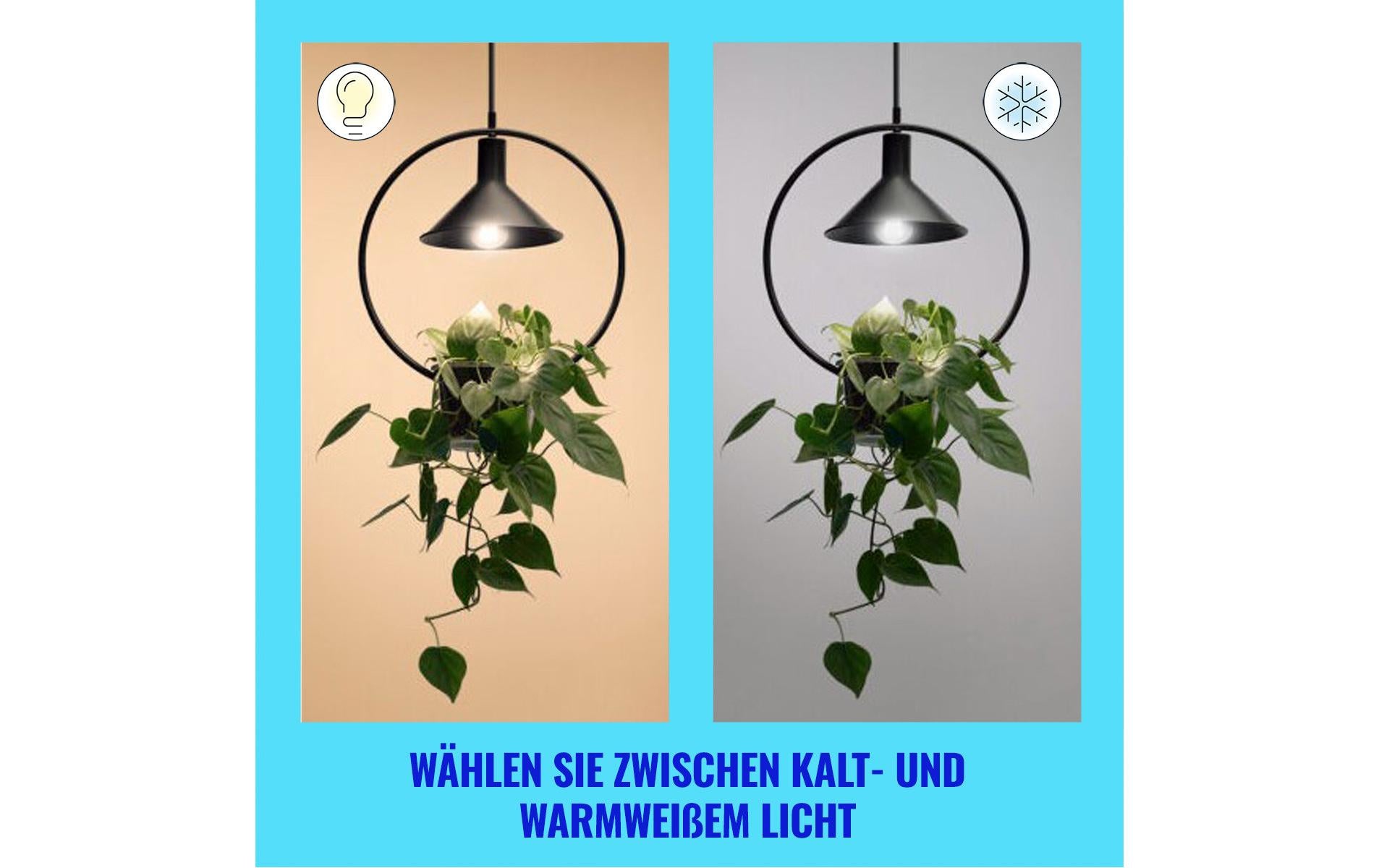 WiZ LED A60 – WLAN, Bluetooth, dimmbar – 2’700–4’000 K – 903 lm 4,3 W – E27, transparent