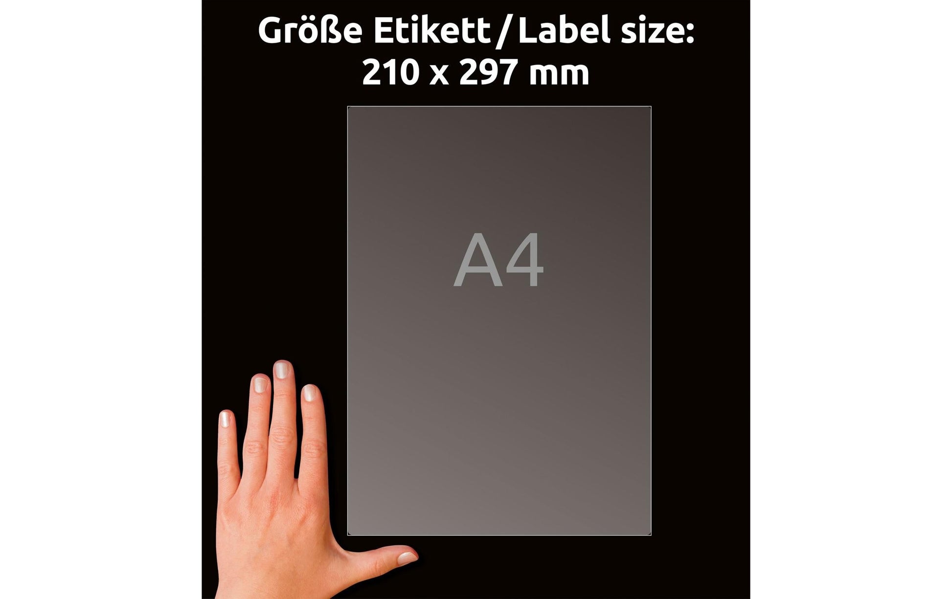 Avery Drucketiketten, 210 mm × 297 mm, transparent, Folie, permanent, 25 Blätter