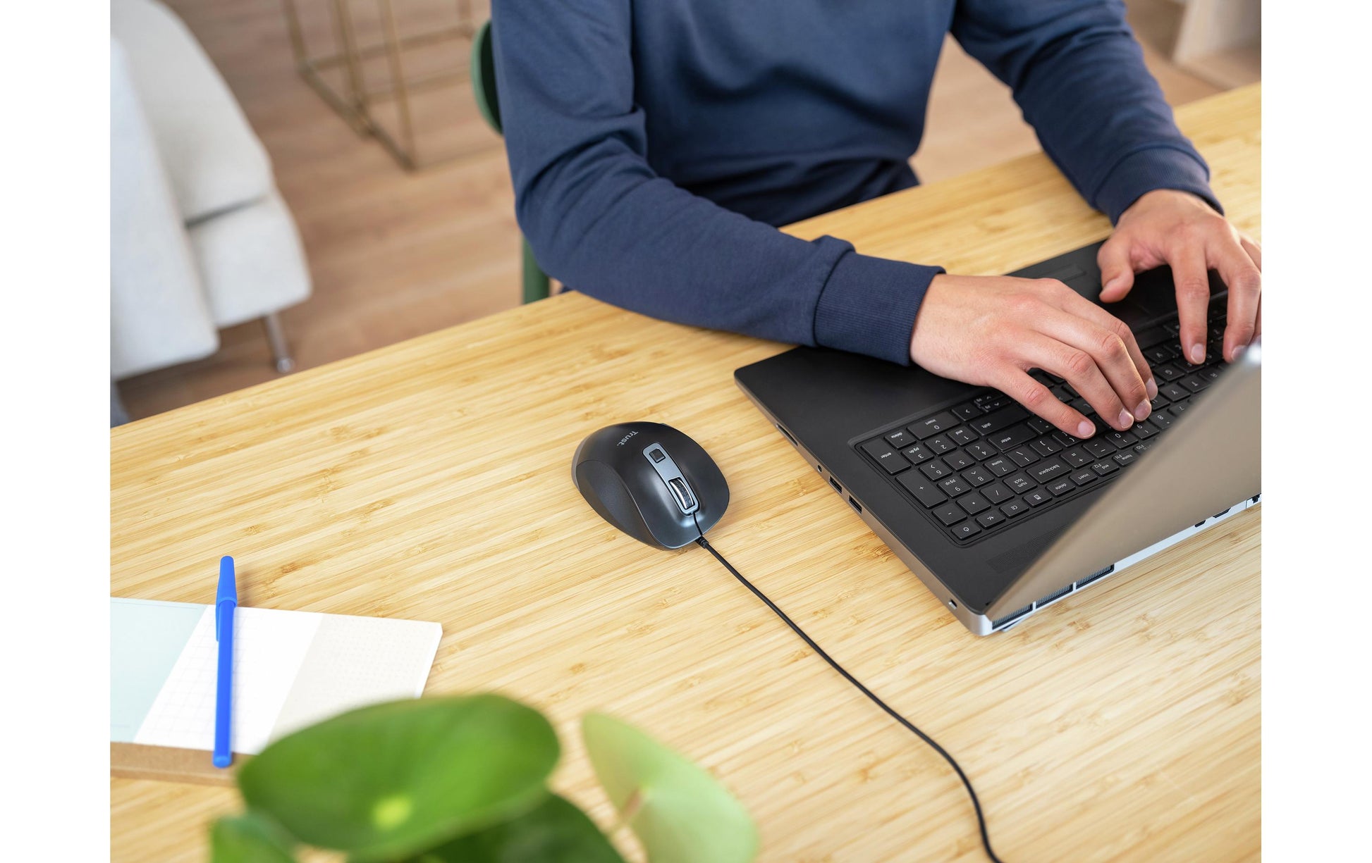 Trust Fyda Eco – Maus – Kabelgebunden (USB‑A), rechts, Schwarz