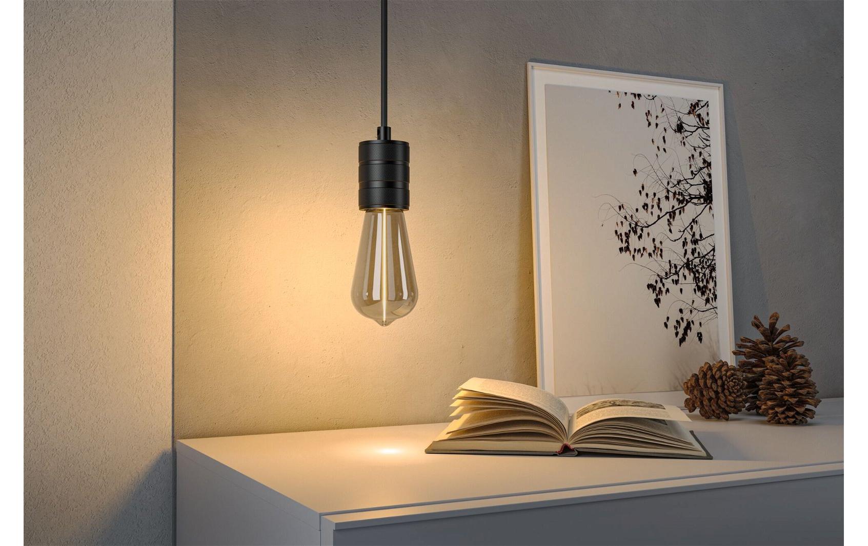 Paulmann LED-Leuchtmittel E27 A-Form – Warmweiss 1800 K, 90 lm, 2,8 W – IP20 – 1 Stk. – Grau, Glas