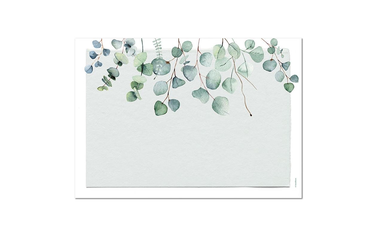 Trendform Tischset Eukalyptus, Papier, 29,7 × 42 cm – FSC – 12 Stk.
