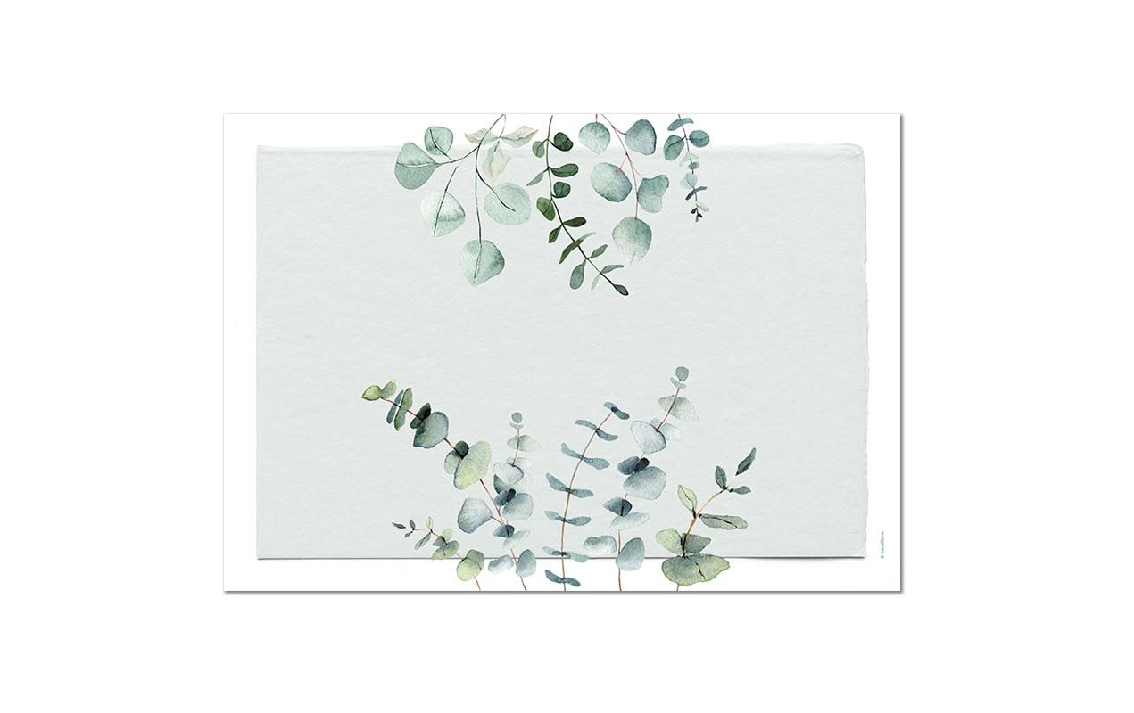 Trendform Tischset Eukalyptus, Papier, 29,7 × 42 cm – FSC – 12 Stk.