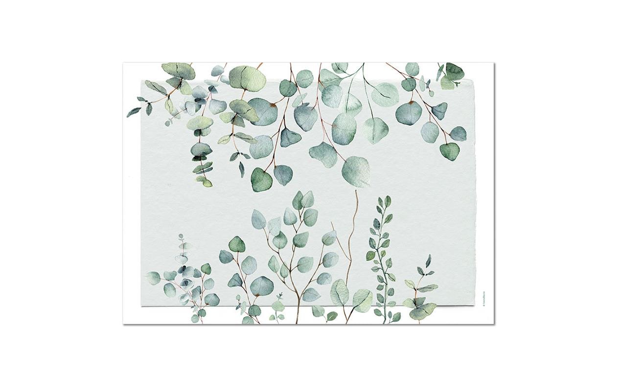 Trendform Tischset Eukalyptus, Papier, 29,7 × 42 cm – FSC – 12 Stk.