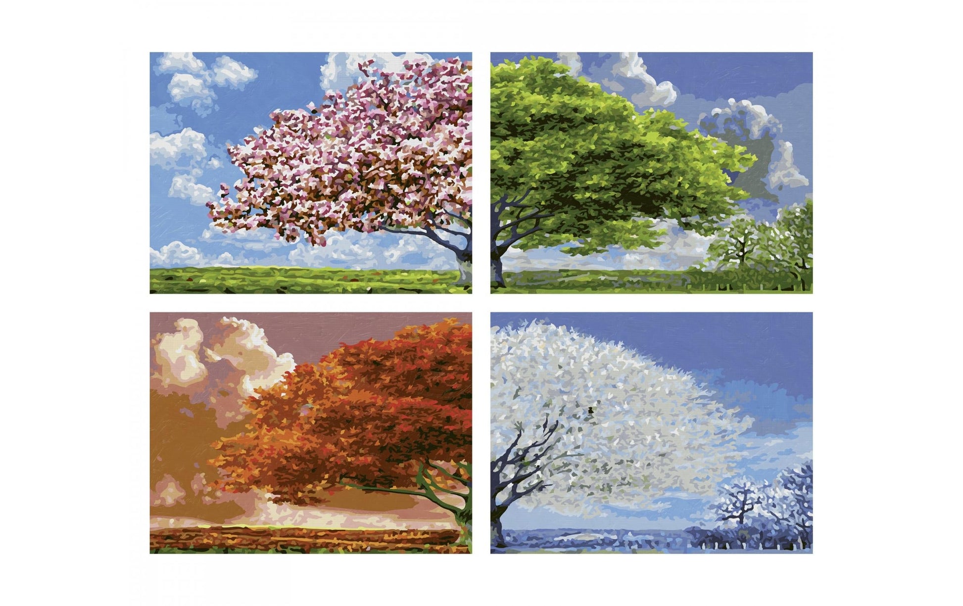 Schipper Malen-nach-Zahlen-Set – Landschaft / Natur – 4-teilig, je 24 × 18 cm – ab 14 Jahren