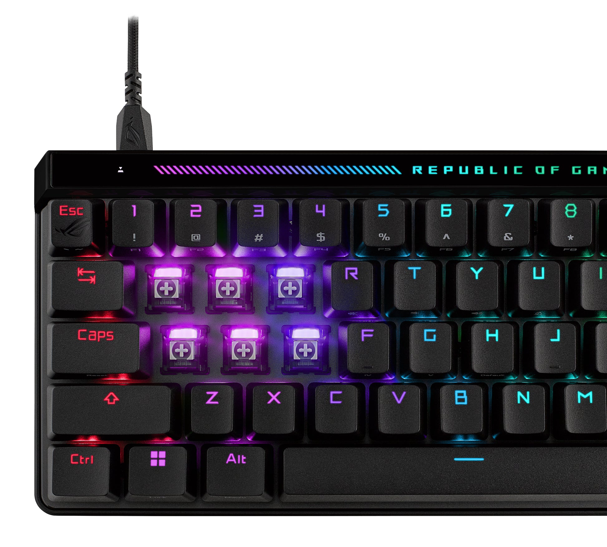 ASUS ROG Falchion Ace HFx – Tastatur, kabelgebunden (USB-A), DE-Layout (DE), Schwarz