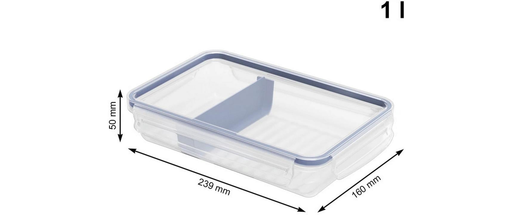Rotho Kühlschrankdose Clic & Lock – 1 l – rechteckig mit Trennsteg – 23,9 × 5 × 16 cm – transparent