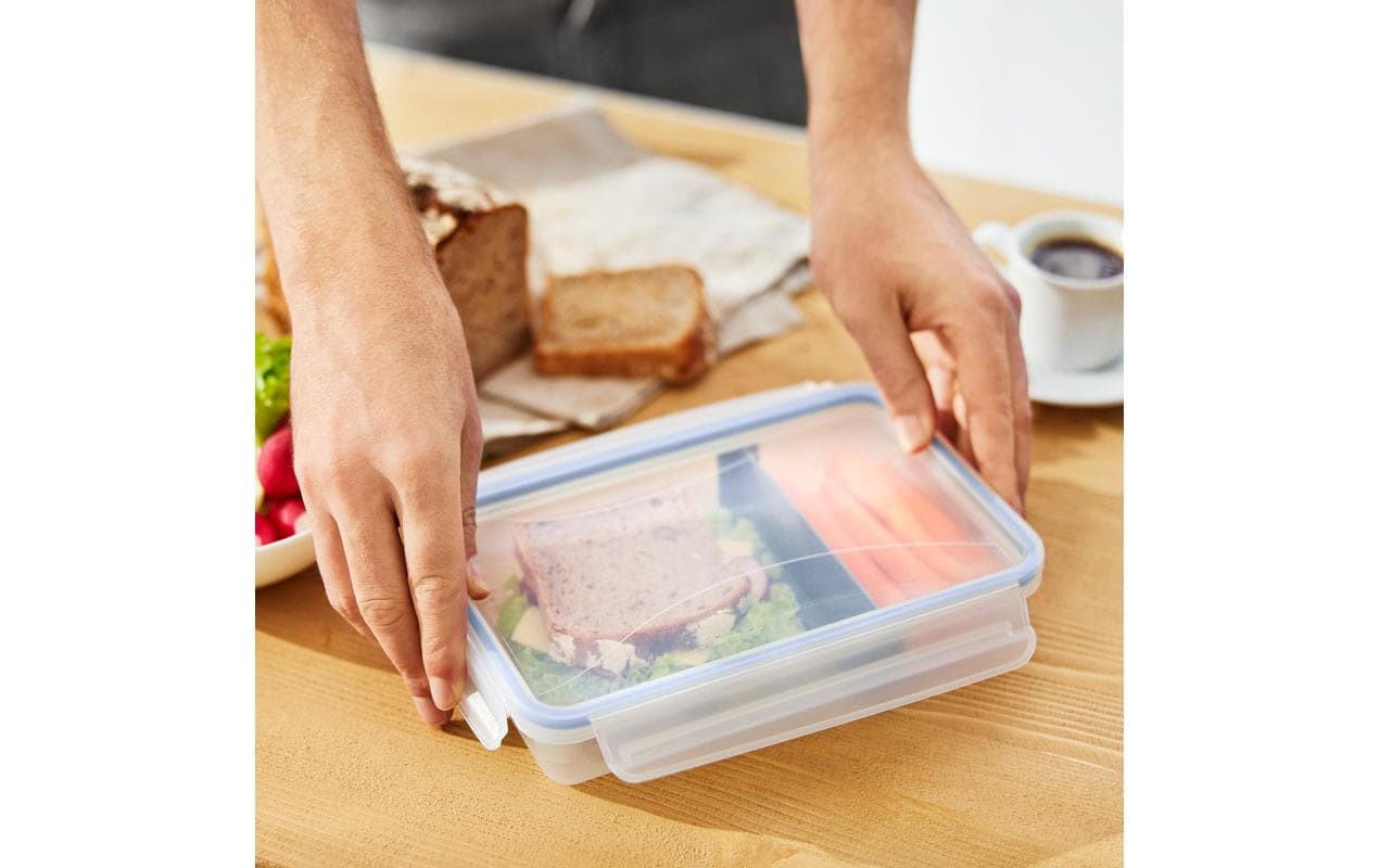 Rotho Kühlschrankdose Clic & Lock – 1 l – rechteckig mit Trennsteg – 23,9 × 5 × 16 cm – transparent