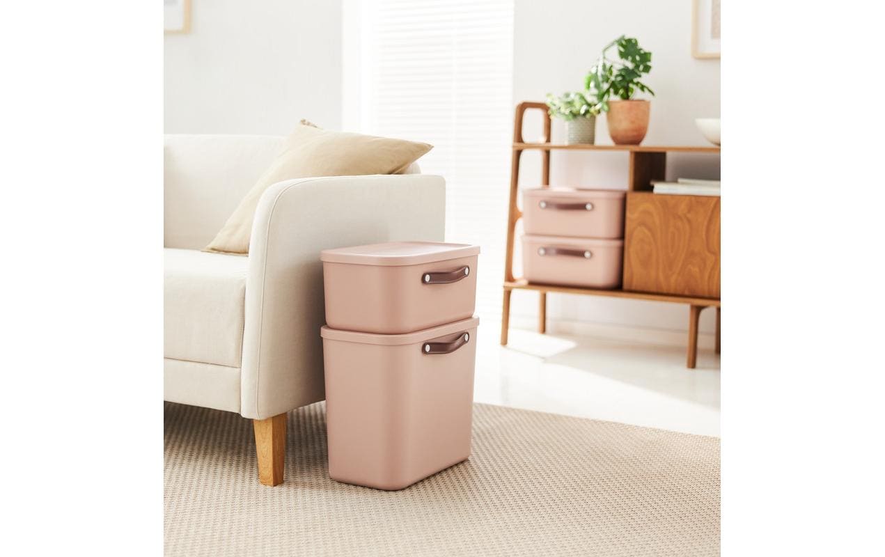 Rotho MALOJA Aufbewahrungsbox 25 l (mit Deckel) – Kunststoff – Rosa – 265 × 370 × 395 mm