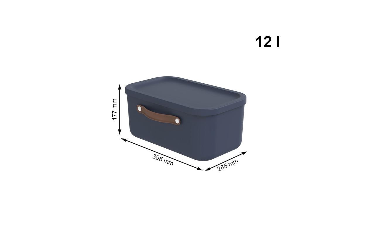 Rotho MALOJA Aufbewahrungsbox 12 l (mit Deckel) – Kunststoff – Blau – 265 × 177 × 395 mm