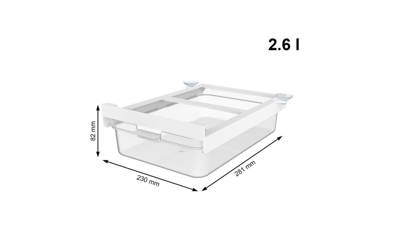 Rotho Vorratsdose 2,6 l, 21,8 × 28,2 × 9,1 cm, Kunststoff (SAN), transparent