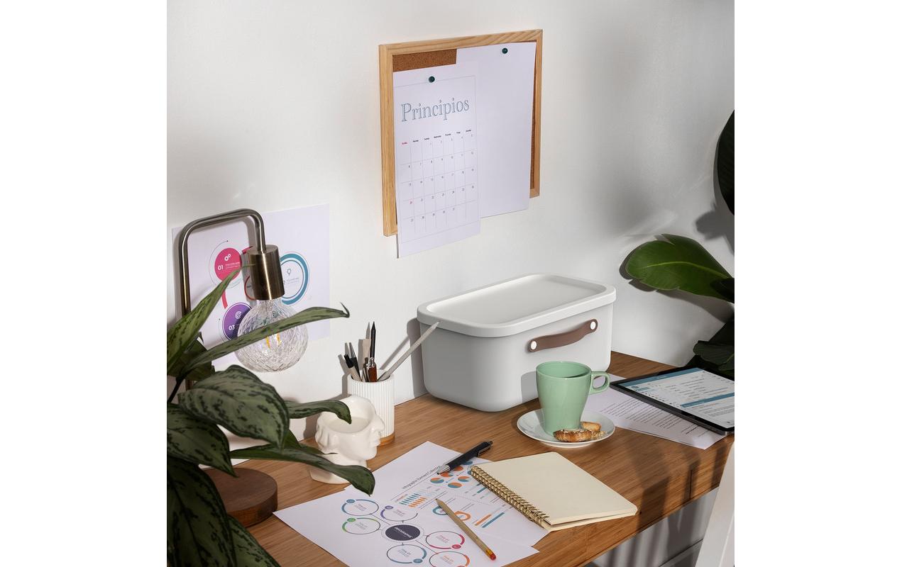 Rotho MALOJA Aufbewahrungsbox 12 l (mit Deckel) – Kunststoff – Weiss – 265 × 177 × 395 mm