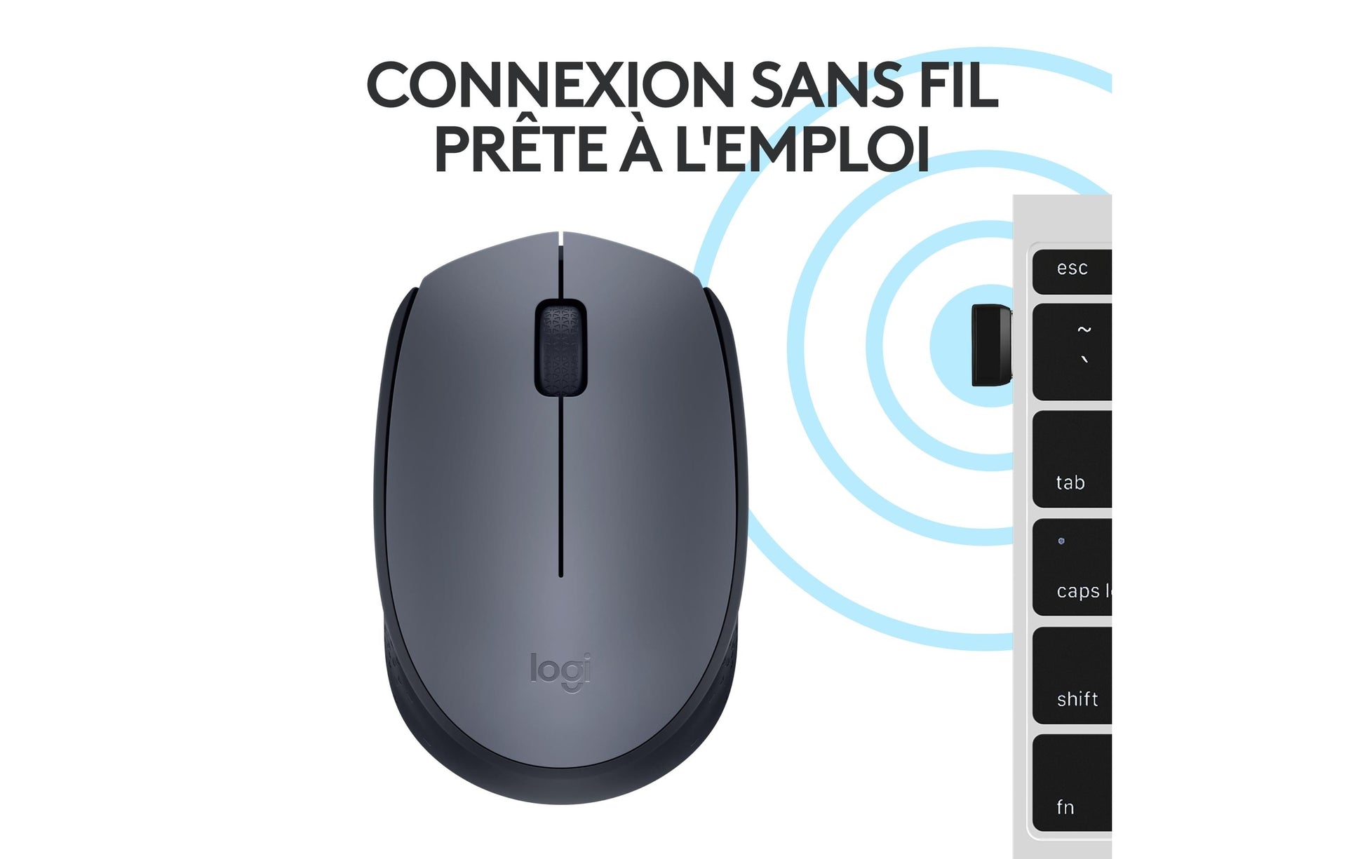Logitech M170 Maus – kabellos, grau
