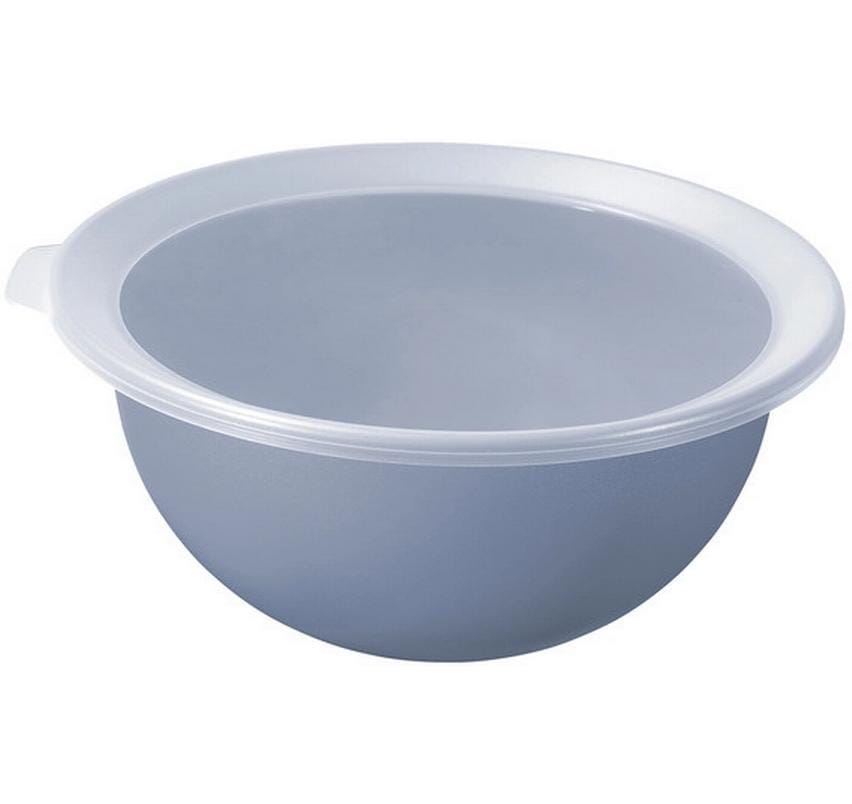 Rotho Schüssel Caruba – 1,8 l, 22,8 × 24,2 × 10,9 cm, Kunststoff (PP), Blau, mit Deckel