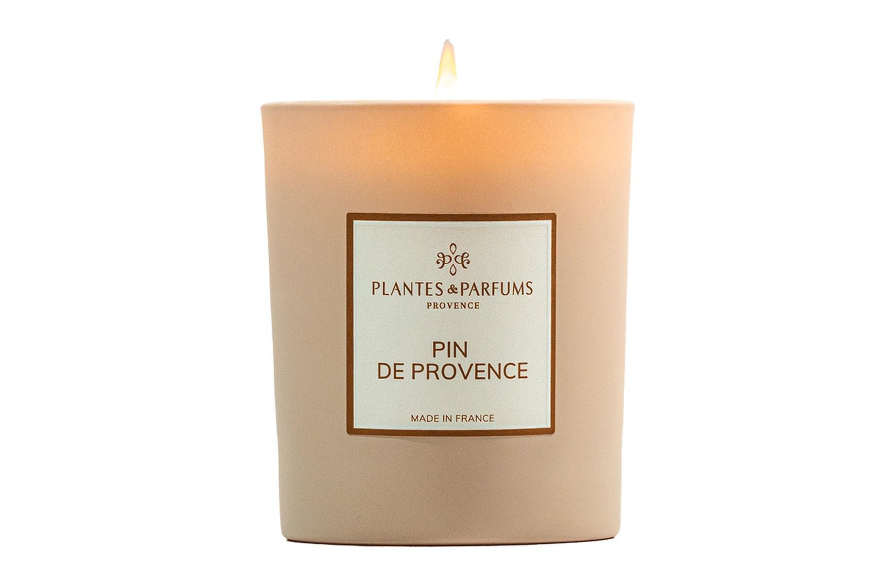 Plantes & Parfums Duftkerze – Kiefer – Ø 7,8 × 9 cm