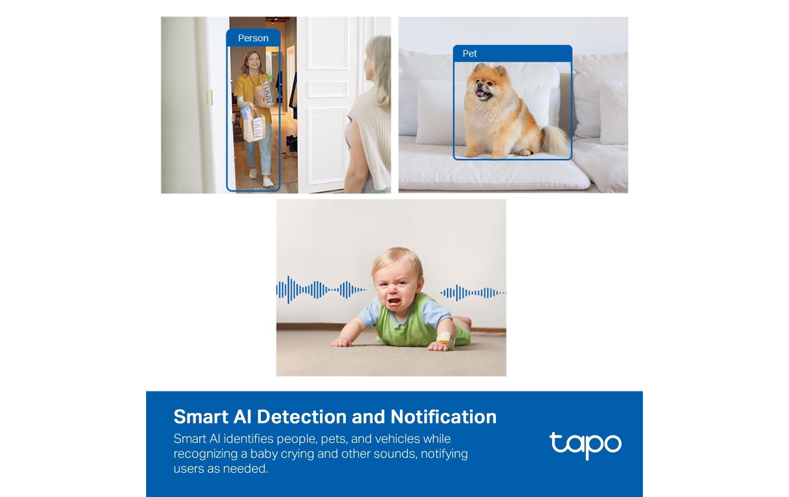 TP-Link Tapo C125 Wildkamera – 4 MP, Reichweite 10 m, microSD bis 512 GB, weiss