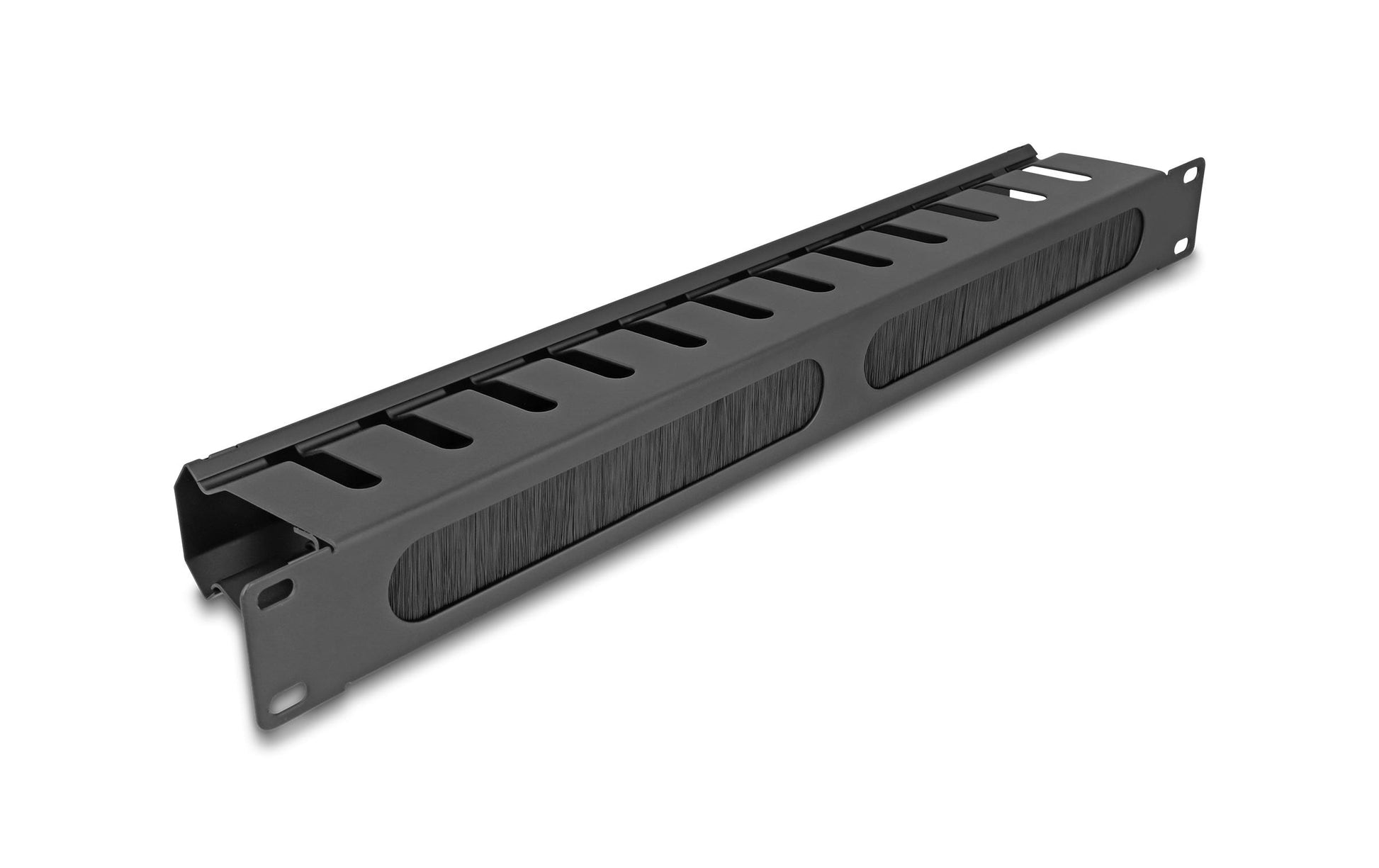 DeLOCK Rangierpanel 19" 1U, Bürste, 2 Öffnungen, Montageset, 483×70×44,5 mm – schwarz