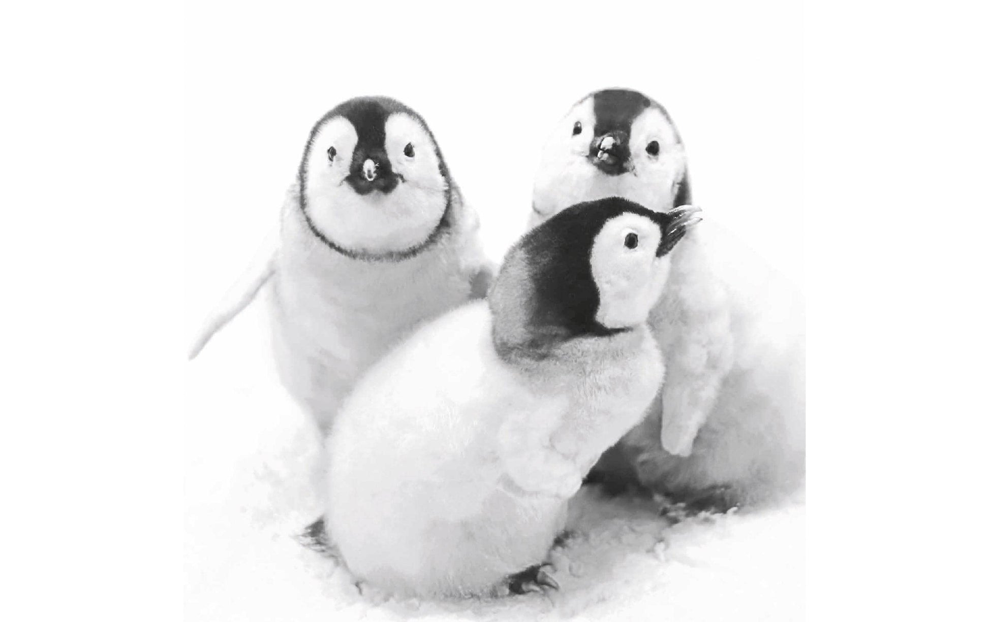 Paper + Design Servietten Penguin friends – 33 × 33 cm, 3-lagig – 20 Stück