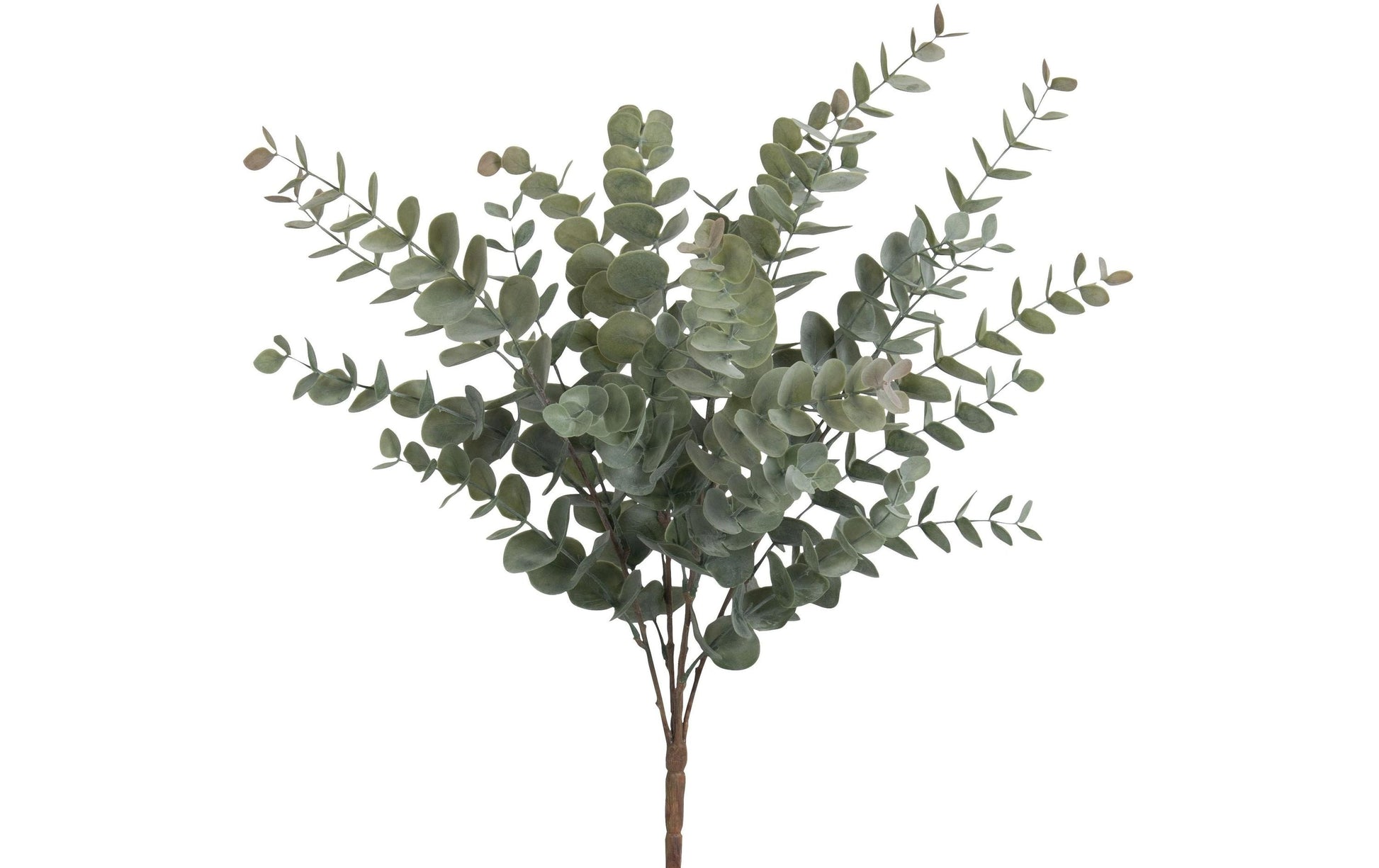Botanic-Haus Künstliche Eukalyptuspflanze – 56 cm – Kunststoff, Grün – 6-teilig
