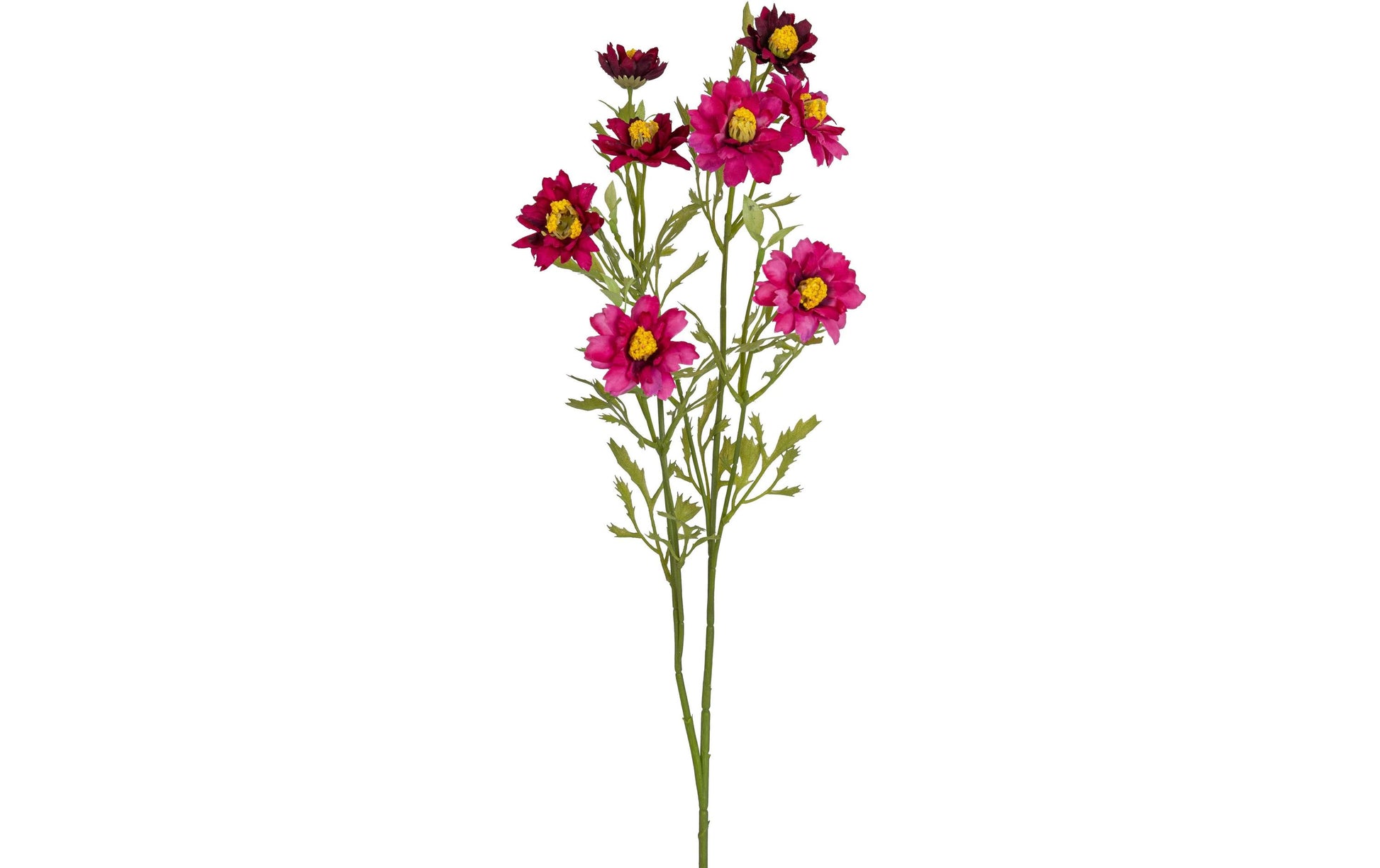 Botanic-Haus Künstlicher Blütenzweig – 68 cm – Kunststoff, Lila – 12er-Pack