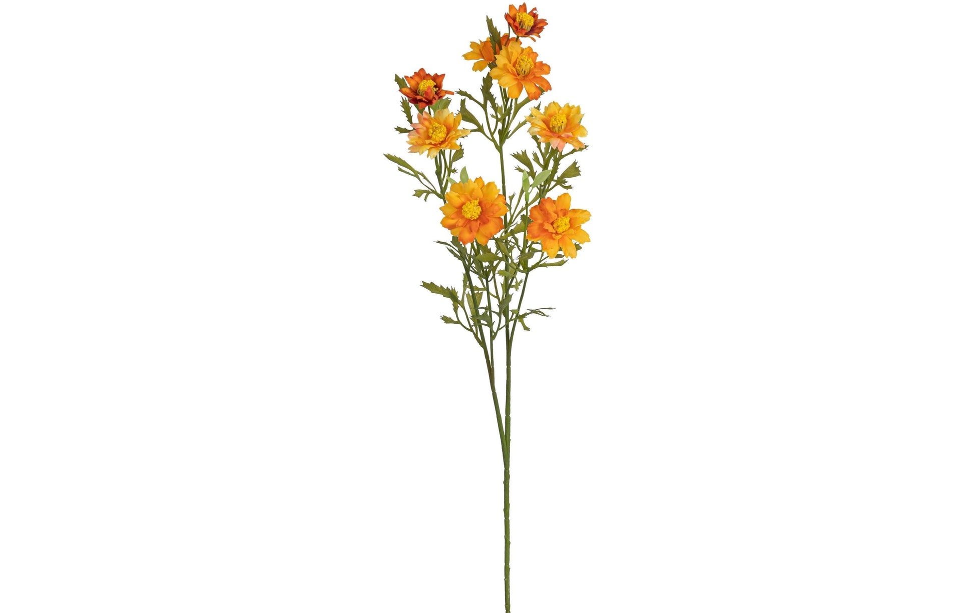 Botanic-Haus Blütenzweig – 68 cm – Kunststoff, Orange – 12er-Pack