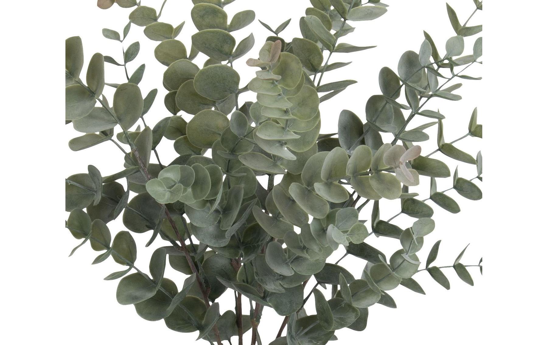 Botanic-Haus Künstliche Eukalyptuspflanze – 56 cm – Kunststoff, Grün – 6-teilig