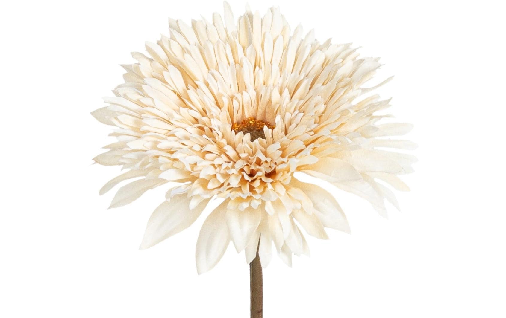 Botanic-Haus Gerbera – 63 cm – Stoff & Kunststoff, Elfenbein, 12-teilig