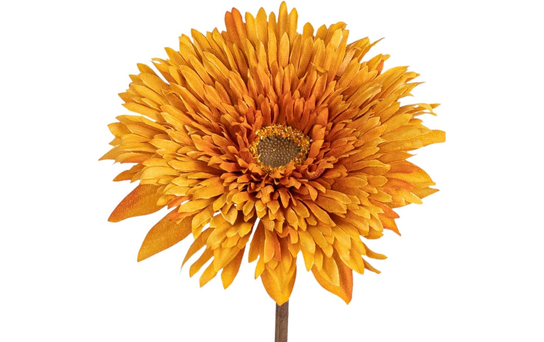 Botanic-Haus Künstliche Blütenpflanze – 63 cm, 12er-Pack – Stoff & Kunststoff, Mehrfarbig