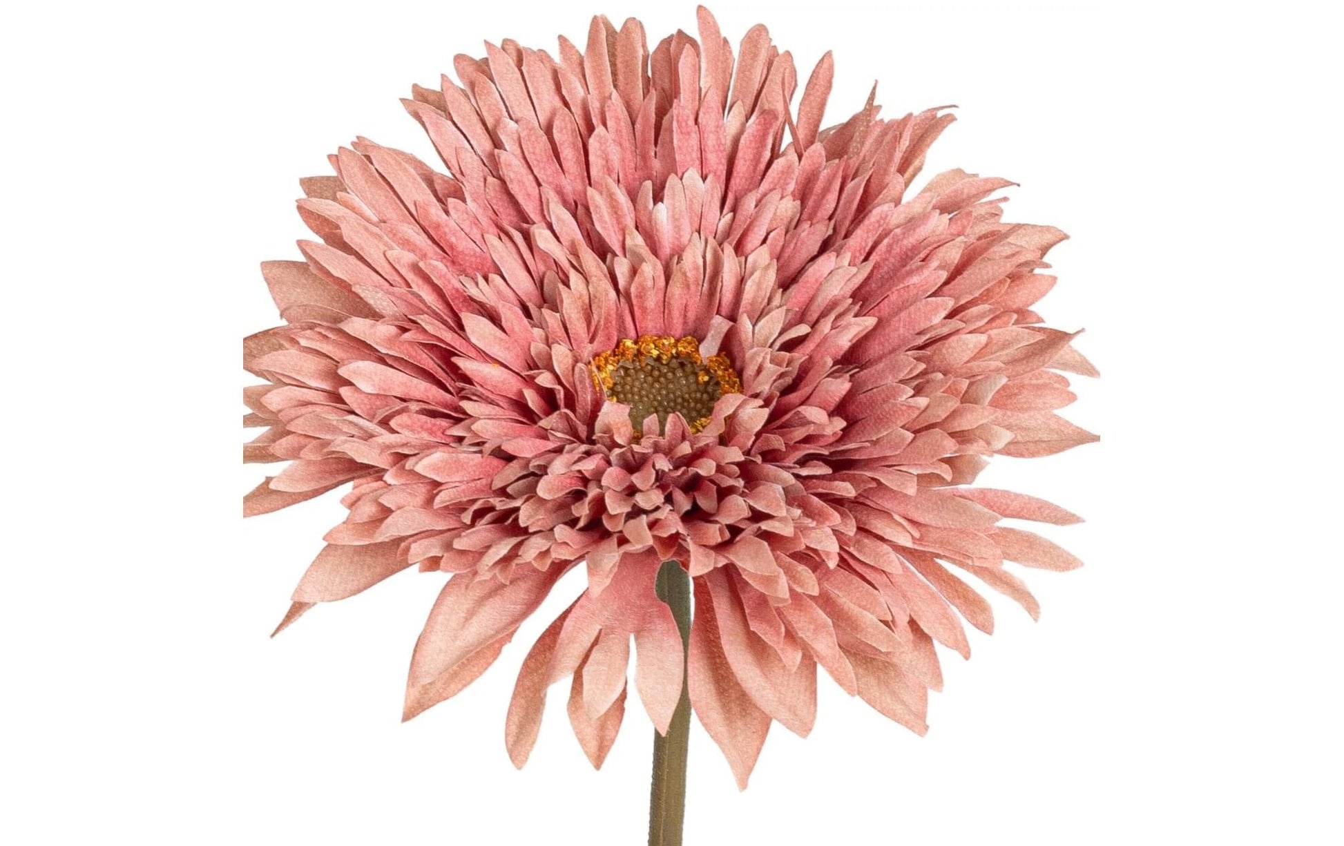Botanic-Haus Künstliche Blütenpflanze – Höhe 63 cm – Stoff & Kunststoff, Altrosa, 12-teilig