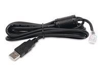 APC USB-A auf RJ45 Kabel – 1,83 m – Schwarz