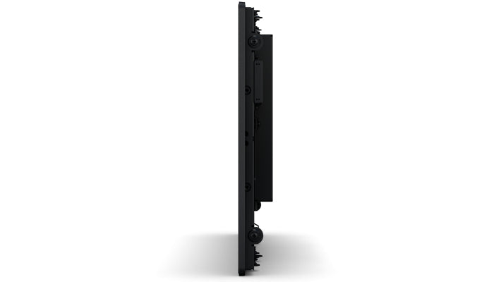 Elo Touch Solutions 2094L – Interaktives Touch-Display, 19,5", Full HD