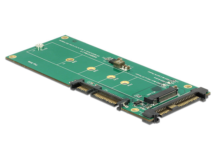 DeLOCK 62864 Adapter U.2/SATA zu M.2 – 6 Gbit/s, M.2 Key-B, für NVMe M.2 oder SATA M.2 – Schwarz/Grün