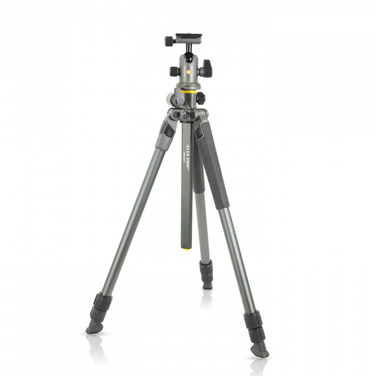 Vanguard Alta Pro 2+ 263AB100 Stativ – 173,4 cm – 7 kg – 3 Abschnitte, Twist-Lock – Grau