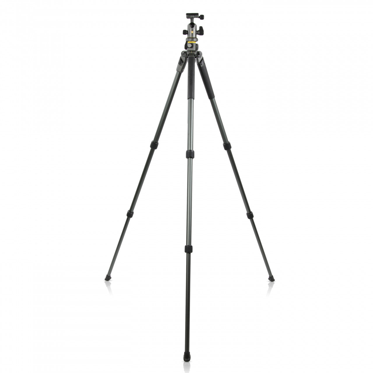 Vanguard Alta Pro 2+ 263AB100 Stativ – 173,4 cm – 7 kg – 3 Abschnitte, Twist-Lock – Grau