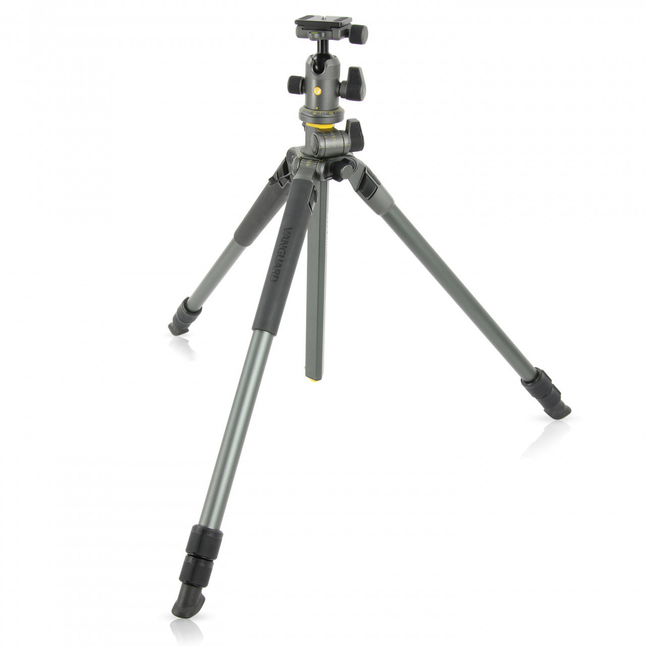 Vanguard Alta Pro 2+ 263AB100 Stativ – 173,4 cm – 7 kg – 3 Abschnitte, Twist-Lock – Grau