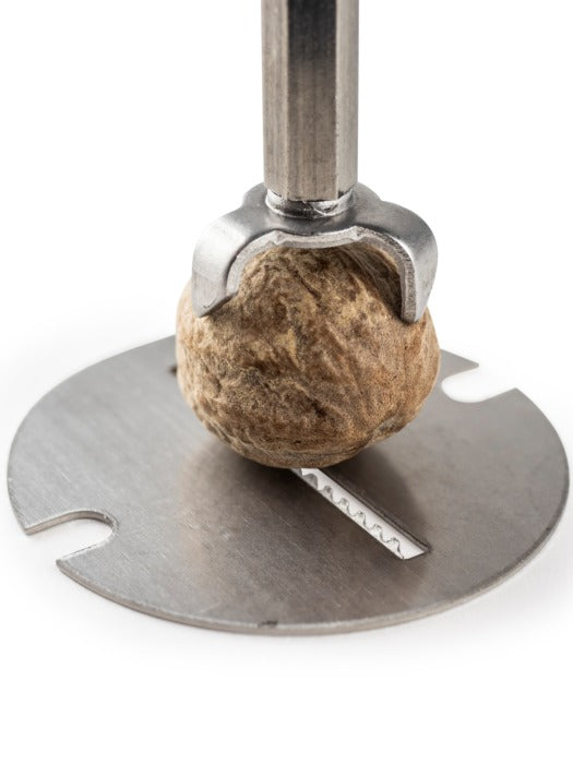 Peugeot Muskatmühle Daman – für Muskatnuss – manuell – Edelstahl, Silber – 15 cm