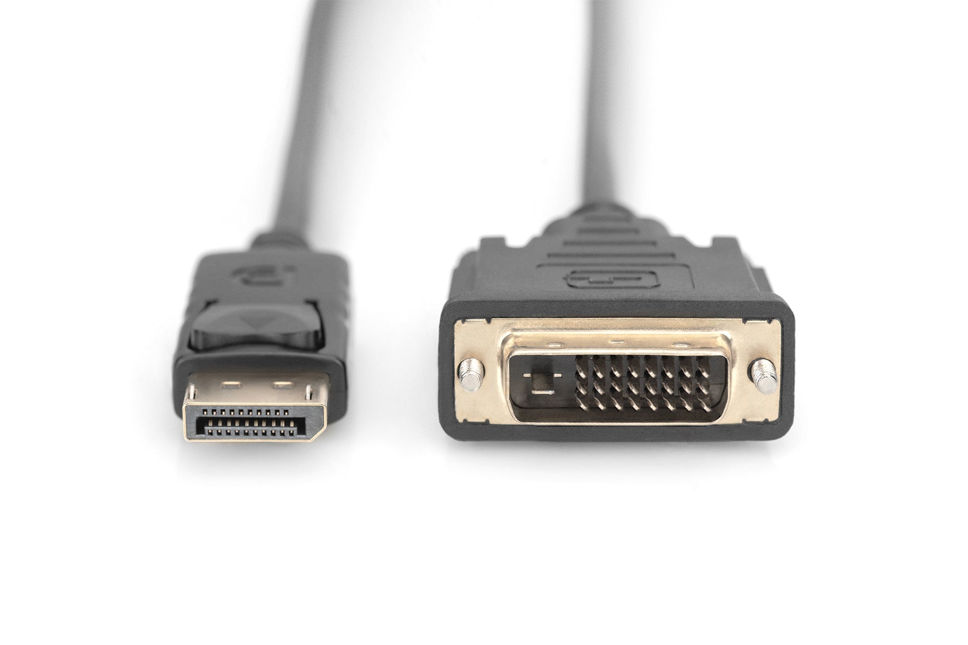 Digitus DisplayPort (Stecker) auf DVI (24+1) (Stecker) Adapter, 2 m