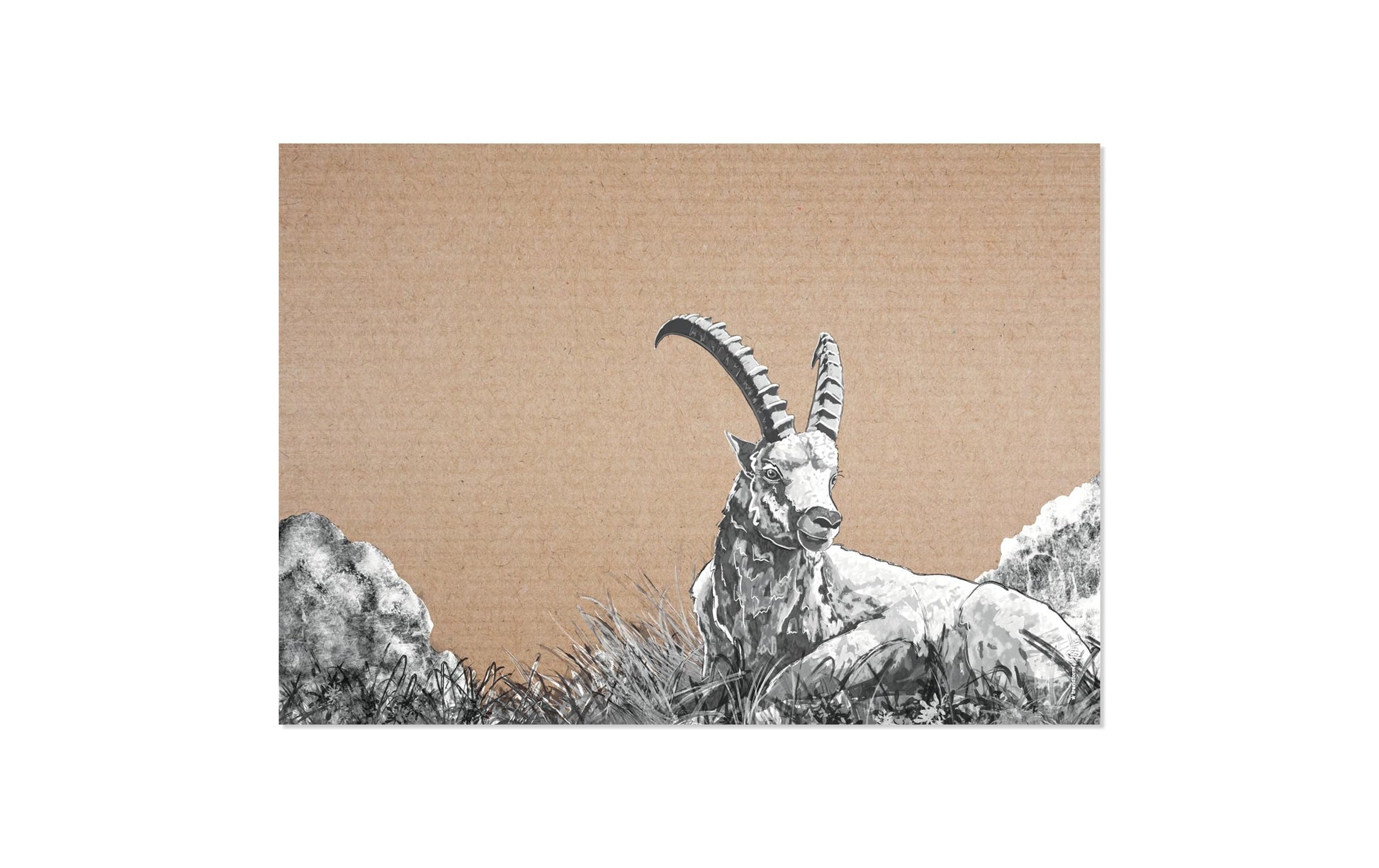 Trendform Tischset BELLA & FRIENDS, Papier, Herbst-Motiv (Tiermuster) – 42 × 29,7 cm – FSC